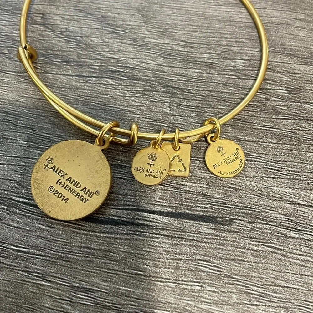 Exclusive Authentic Charity Alex and Ani Pink Stork Bangle Adjustable Bracelet